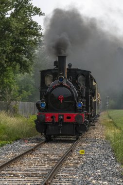 Baharda Ren Turist Demiryolu 'nun buharlı lokomotifi. Volgelsheim, Alsace, Fransa.