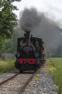 Baharda Ren Turist Demiryolu 'nun buharlı lokomotifi. Volgelsheim, Alsace, Fransa.