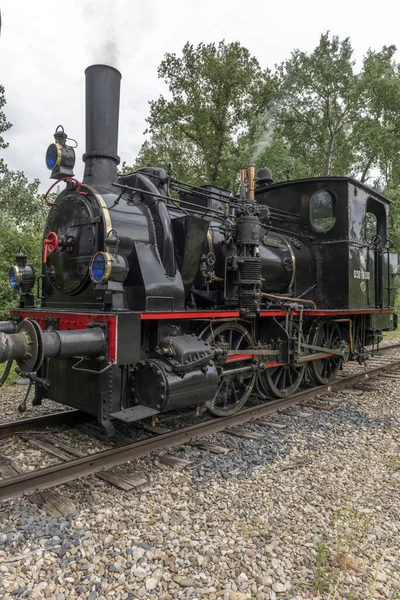 Stoomlocomotief Van Rijn Tourist Railway Het Voorjaar Volgelsheim Elzas Frankrijk — Stockfoto