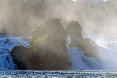 İlkbaharda Ren Şelalesi, Avrupa 'nın en büyük şelalesi. Neuhausen ben, Schaffhausen, İsviçre.