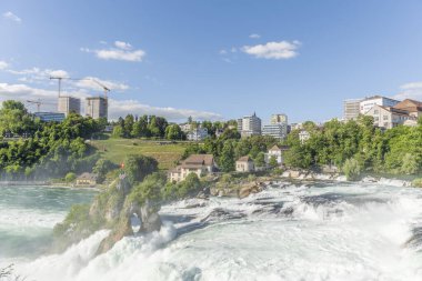 İlkbaharda Ren Şelalesi, Avrupa 'nın en büyük şelalesi. Neuhausen ben, Schaffhausen, İsviçre.