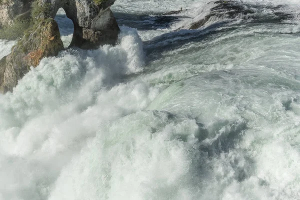 İlkbaharda Ren Şelalesi, Avrupa 'nın en büyük şelalesi. Neuhausen ben, Schaffhausen, İsviçre.