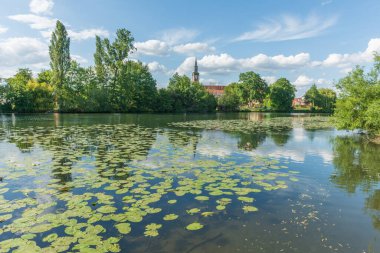 İlkbaharda nilüferli nehir kıyısında bir köy. Huttenheim, Alsace, Fransa.
