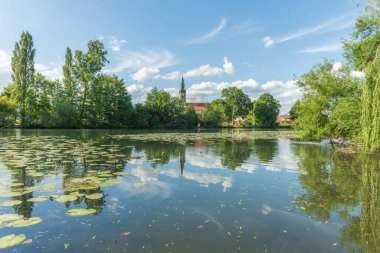 İlkbaharda nilüferli nehir kıyısında bir köy. Huttenheim, Alsace, Fransa.