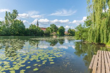 İlkbaharda nilüferli nehir kıyısında bir köy. Huttenheim, Alsace, Fransa.