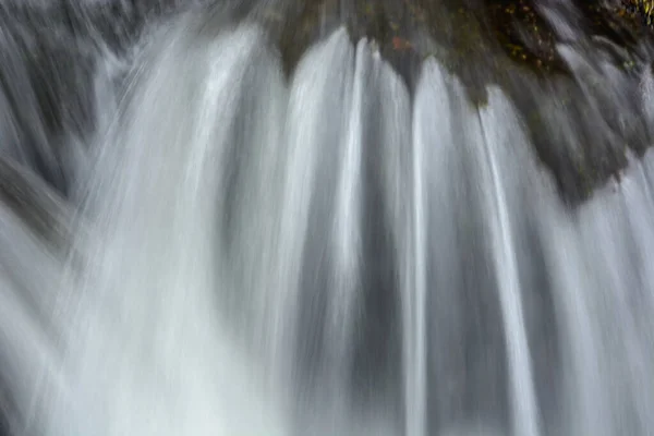 Свіжа Вода Водоспаду Гірській Потоці Вогес Франція — стокове фото