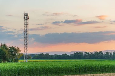 Yazın gün batımında kırsalda telekom anteni. Alsace, Fransa.