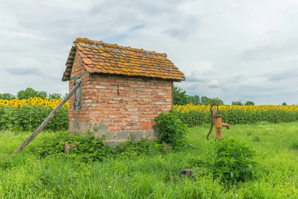 Petite Maison Jardin Dans Verger Campagne Alsace France — Photo