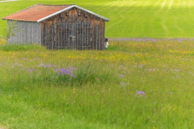 Old barn in a country meadow near Rotenbach wiesen nature reserve. Friedenweiler, Baden-Wurttemberg, Germany.