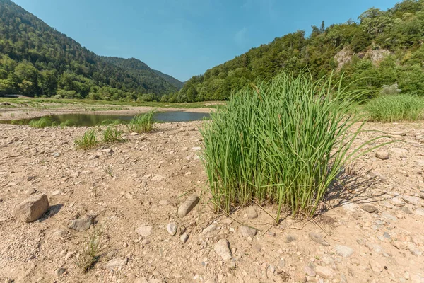 Water level drops in mountain lake in summer. Wildenstein, Vosges, Alsace, France.