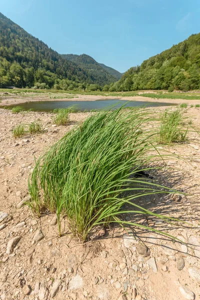 Water level drops in mountain lake in summer. Wildenstein, Vosges, Alsace, France.