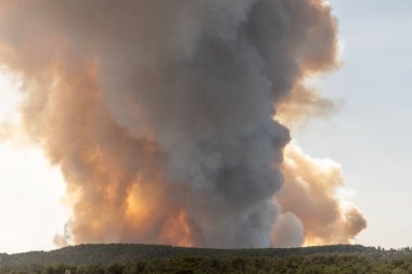 Orman yangını, Causse de Sauveterre 'de hasara yol açar. Montuejols, Aveyron, Cevennes, Fransa.
