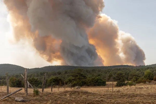 Pożar Lasu Wywołuje Spustoszenie Causse Sauveterre Montuejols Aveyron Cevennes Francja Obrazek Stockowy