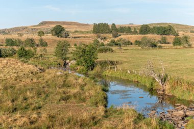 Yazın Aubrac 'ta manzara, ilham verici, sonsuz, büyüleyici, büyülü, barışçıl, büyüleyici. Cevennes Fransa.