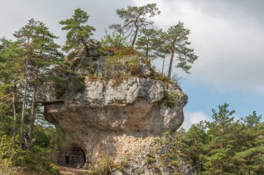 Cevennes Ulusal Parkı, UNESCO Dünya Mirası Alanı 'ndaki vahşi manzara. Aveyron, Fransa.