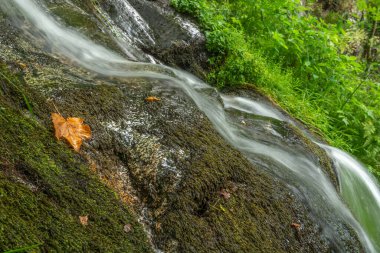 Sonbaharda dağda tatlı su şelalesi. Alsace, Fransa.