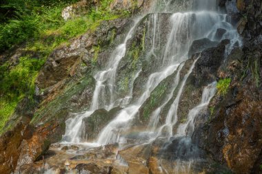 Sonbaharda dağda tatlı su şelalesi. Alsace, Fransa.