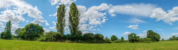 Baharda güneşli bir günde yeşil bir çayırın manzarası. Alsace, Fransa.