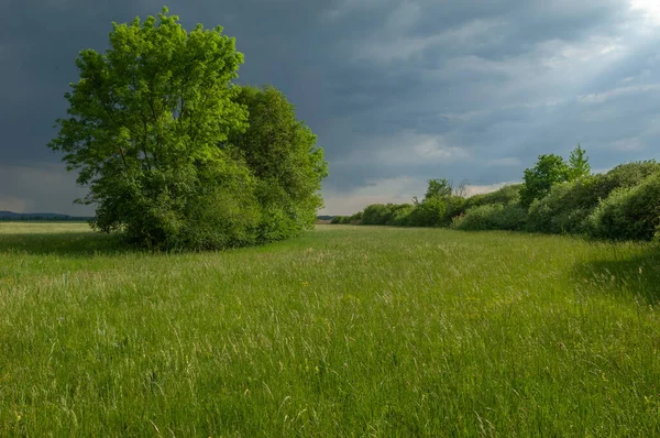 Stürmischer Himmel Über Einer Wiese Bei Regnerischem Frühlingswetter Elsass Frankreich — Stockfoto