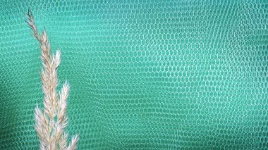 Soyut Yeşil Mavi desenli arka plan. Yüksek kalite fotoğraf