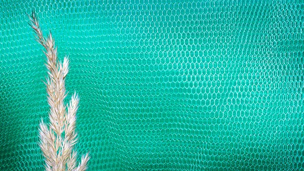 Абстрактний Зелено Блакитний Текстурований Фон Високоякісна Фотографія — стокове фото