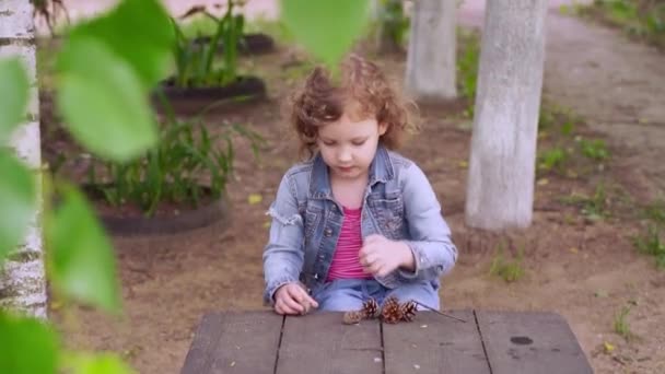 Kręcone włosy dziewczyna 5 lat w dżinsowym garniturze bawi się z szyszki sosny na stole — Wideo stockowe