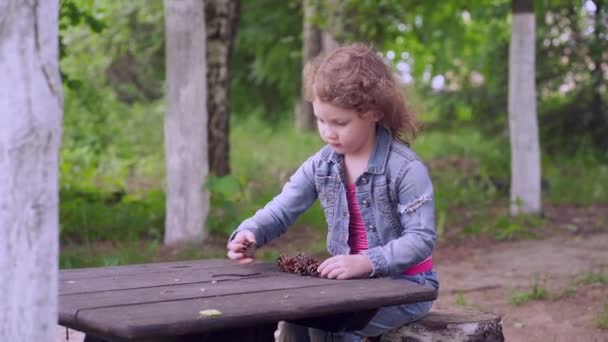 Chica de pelo rizado 5 años de edad en un traje de mezclilla juega con conos de pino en la mesa — Vídeo de stock