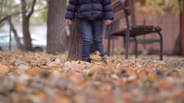 Verschwommener Herbstblick Eines Kindes Das Herbstgelbe Blätter Die Luft Kickt — Stockvideo