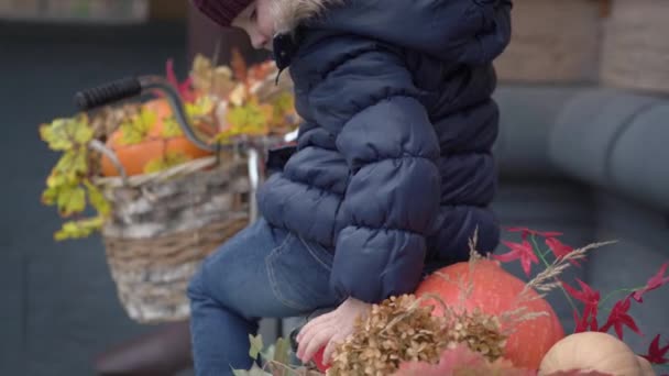Blurred view of autumn harvest in baskets on a bicycle — Stock Video