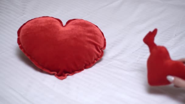 Concept Saint Valentin Deux Cœurs Sur Fond Blanc — Video