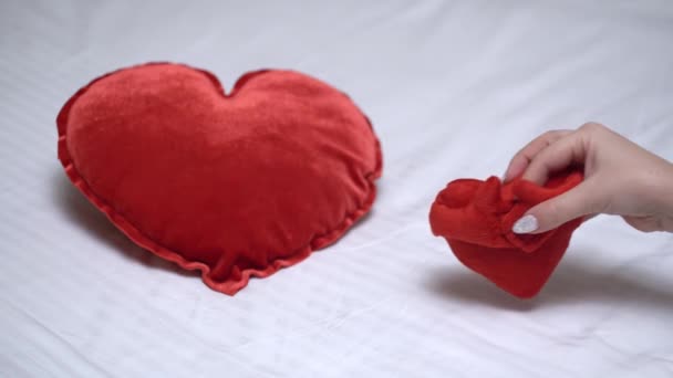 Concepto San Valentín Dos Corazones Sobre Fondo Blanco — Vídeo de stock