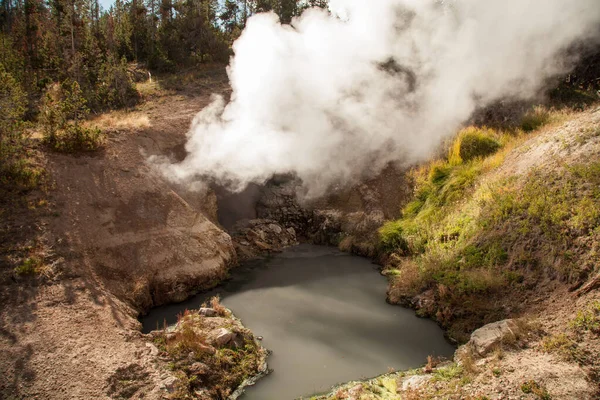 Στόμα Δράκου Πηγή Κατά Μήκος Mud Volcano Trail Στο Εθνικό — Φωτογραφία Αρχείου
