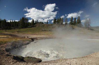 Yellowstone Ulusal Parkı, Wyoming 'deki Çamur Volkan Patikası boyunca Caldron çalkalanıyor.