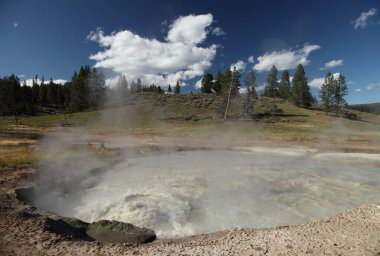 Yellowstone Ulusal Parkı, Wyoming 'deki Çamur Volkan Patikası boyunca Caldron çalkalanıyor.