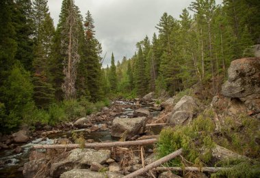 Wyoming, Wind River Range 'deki Boulder Deresi