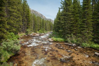 Sakaldiş Dağları 'ndaki Lake Fork Rock Deresi, Montana