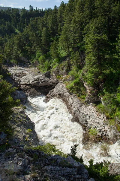 Річка Боулдер Natural Bridge Falls Recreation Area Montana — стокове фото