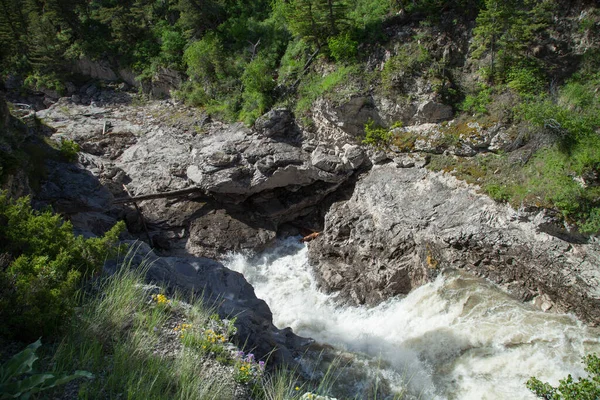 Річка Боулдер Natural Bridge Falls Recreation Area Montana — стокове фото