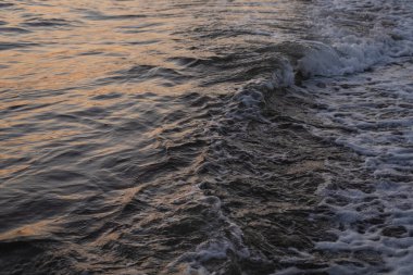 Deniz yaz geçmişi. Denizin veya okyanusun manzarası.