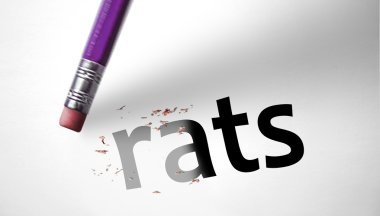 Eraser deleting the word Rats 