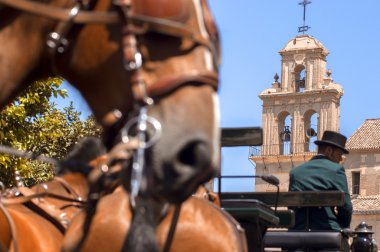 Malaga, İspanya - Ağustos, 14: atlı ve malaga Ağustos fuarda arabaları üzerinde Ağustos 14, 2009 Malaga, İspanya