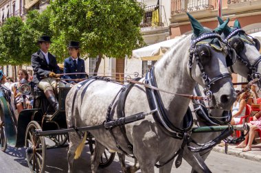 Malaga, İspanya - Ağustos, 14: atlı ve malaga Ağustos fuarda arabaları üzerinde Ağustos 14, 2009 Malaga, İspanya
