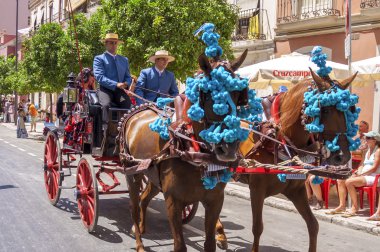 Malaga, İspanya - Ağustos, 14: atlı ve malaga Ağustos fuarda arabaları üzerinde Ağustos 14, 2009 Malaga, İspanya