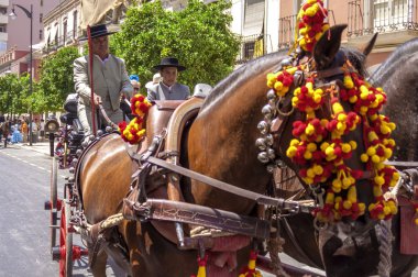 Malaga, İspanya - Ağustos, 14: atlı ve malaga Ağustos fuarda arabaları üzerinde Ağustos 14, 2009 Malaga, İspanya