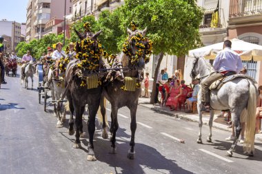 Malaga, İspanya - Ağustos, 14: atlı ve malaga Ağustos fuarda arabaları üzerinde Ağustos 14, 2009 Malaga, İspanya