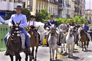 Malaga, İspanya - Ağustos, 14: atlı ve malaga Ağustos fuarda arabaları üzerinde Ağustos 14, 2009 Malaga, İspanya