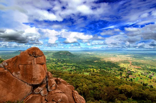 Parque Nacional Niokolo Koba no Senegal — Fotografia de Stock