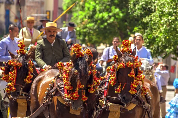 MALAGA, SPAIN - AUGUST, 14: Horsemen and carriages at the Malaga August Fair on August, 14, 2009 in Malaga, Spain — Stock Photo, Image