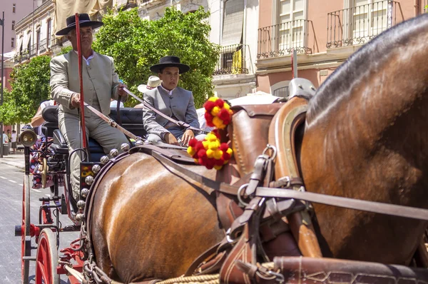 马拉加、 西班牙-8 月，14： 骑兵和四轮马车在马拉加 8 月集市上的 8 月，14，2009 年在西班牙马拉加 — 图库照片