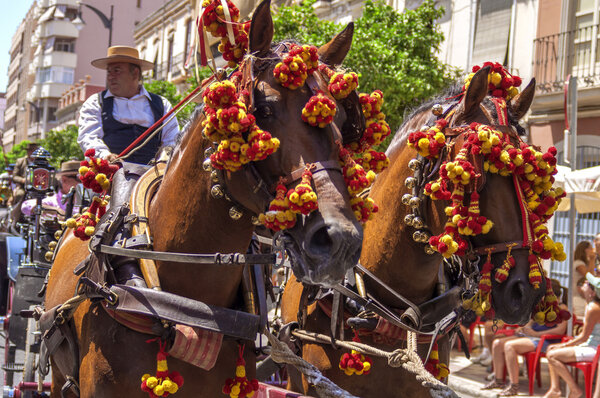МАЛАГА, ИСПАНИЯ - 14 АВГУСТА: Всадники и экипажи на августовской ярмарке в Малаге 14 августа 2009 года в Малаге, Испания
